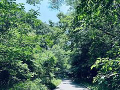 -南山风景名胜区