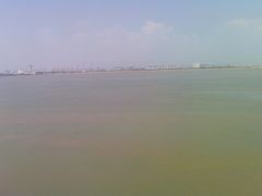 -大湾区中央湿地公园