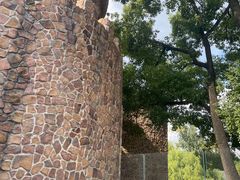 -J Create城市露营咖啡·简餐·宠物(上海动物园店)