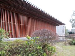 -八大山人梅湖景区