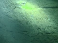 -白鹤梁水下博物馆