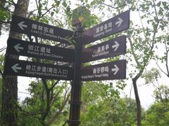 -铁山坪森林公园