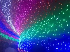 -杭州湾海上花田景区