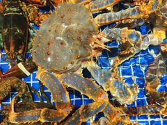 -高佳庄·舟山海鲜(海景旗舰店)