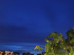 -天空花园餐吧·生日·团建(南山店)