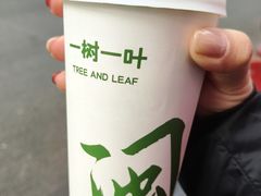-一树一叶·福建茶档(石鼓路店)