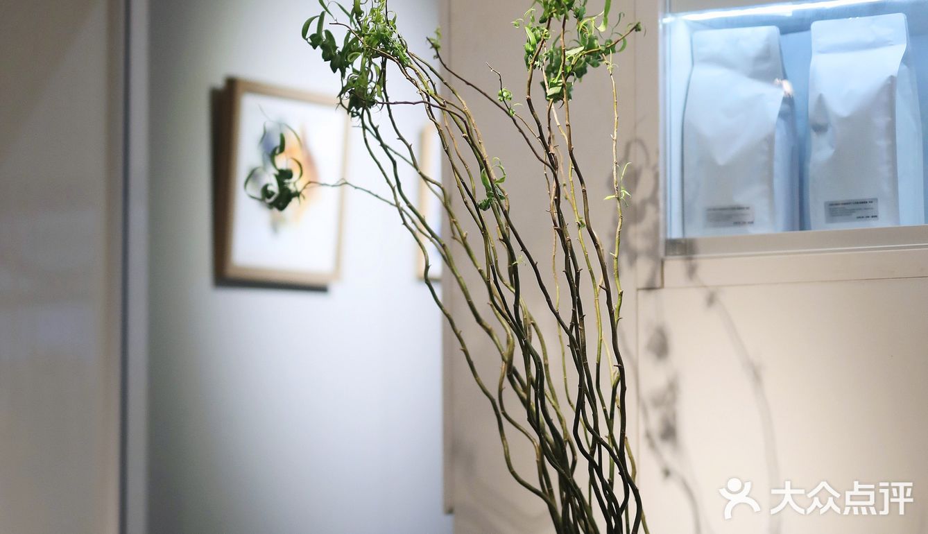 which mood🪀green mood