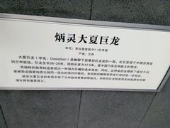 -中华赏石园