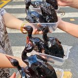 ‼️终于在这家老字号酒楼吃到了我的人生乳鸽!