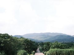 -良渚古城遗址公园