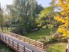 -洛阳市隋唐城遗址植物园
