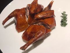 玻璃乳鸽-甄御•海鲜新青岛菜(麦岛店)