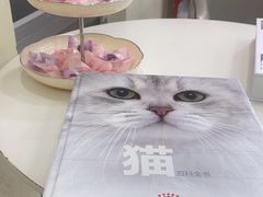 -天宠宠物医院24小时·急重症诊疗中心·全科·腔镜特色(和平分院)