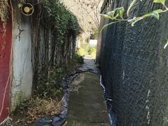 -东湖小天池真人CS彩弹野战基地