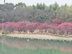 -东方绿舟景区