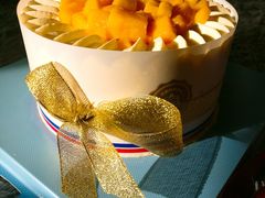 -维尔纳斯·生日蛋糕·动物奶油冰淇淋蛋糕(六里桥店)
