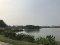 -海珠湖公园