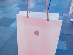 -Apple零售店(成都太古里店)