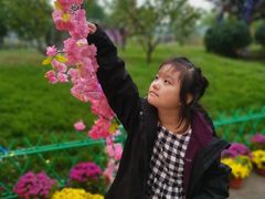 -燕郊植物园