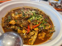 -甲鱼张甲鱼铺子(观沙岭店)