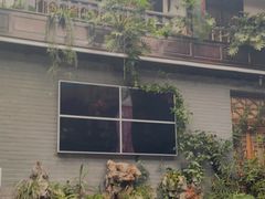 -蔼若春.传承三十年云南菜(金碧公园店)