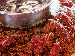 -马帮寨院坝火锅(龙港公园店)