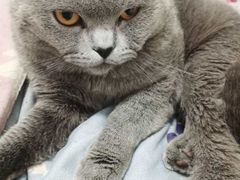 -宠颐生嘉德动物医院