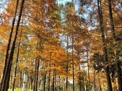 -苏州河梦清园环保主题公园