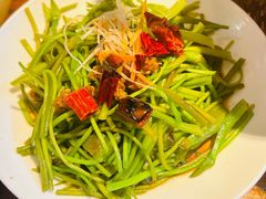 -菌自由丨野生菌火锅特色庭院餐厅(丽江古城店)