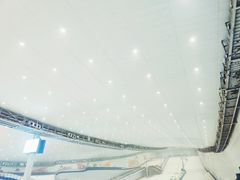 -哈尔滨热雪奇迹