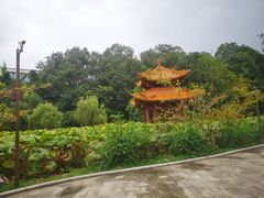 -富乐山