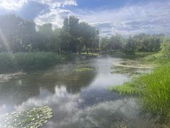 -洱海月湿地公园