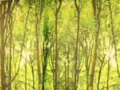 -仁泽赵巷养老护理院-医疗康复中心