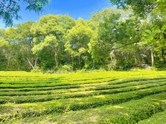 -敬亭山风景名胜区