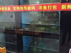 -全乐鱼馆·淳牌有机鱼直营店