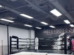 -拳力汇散打搏击泰拳俱乐部(绿地缤纷城店)