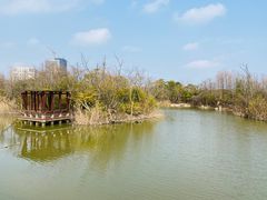 -上海吴淞炮台湾国家湿地公园