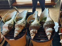 -吴记富苑(朝阳店)