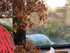 -北马山庄植趣咖啡