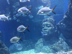 -暹罗海洋世界