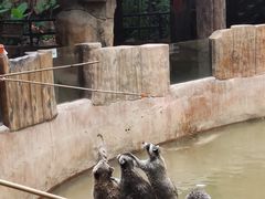 -长鹿旅游休博园
