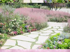 -思念果岭悦温泉