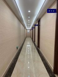 -碧莲盛·不剃发植发