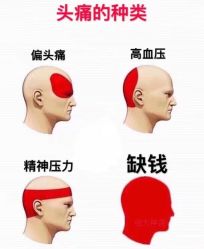 -玲珑造型·发型新势力