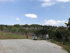 -聚龙山公园