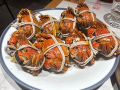 -杨氏青龙虾·羊蝎子(托乐嘉店)
