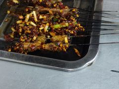 -宋文成烤肉(白沙巷店)