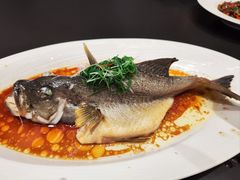 -南海渔村(珠江新城店)
