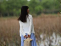 -白鹭湾湿地公园