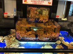 -蟹道乐(道顿堀本店)